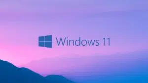 windows 11