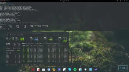 Kali Linux Güvenlik Testi